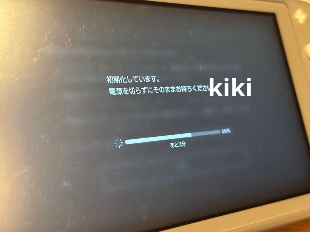 ニンテンドー　Switch lite 本体　グレー　中古　動作確認済み