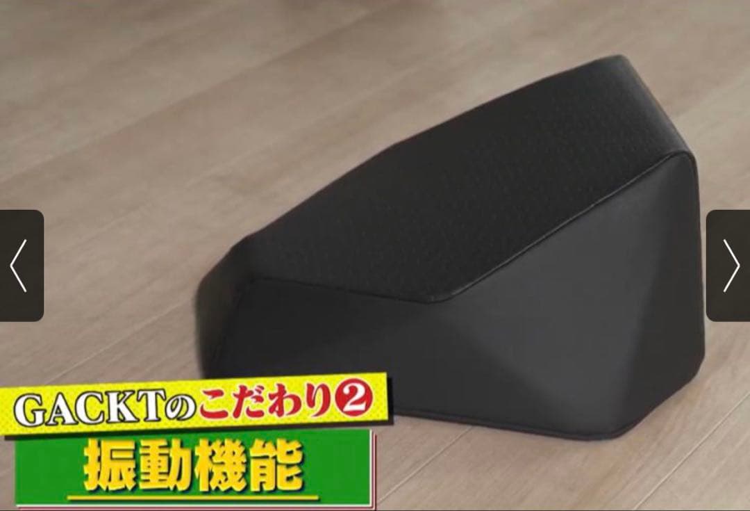 し*く様 エクストラクッション/GACKTプロデュース《ブラック》