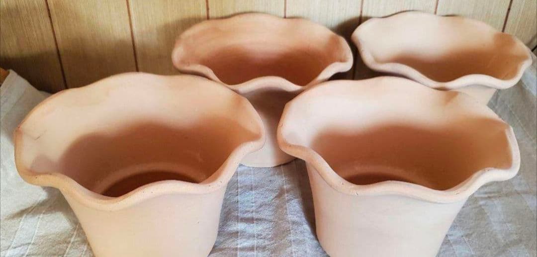 norinoriページ三河焼フリルテラしゅう窯白焼6号10ヶお買い得セット