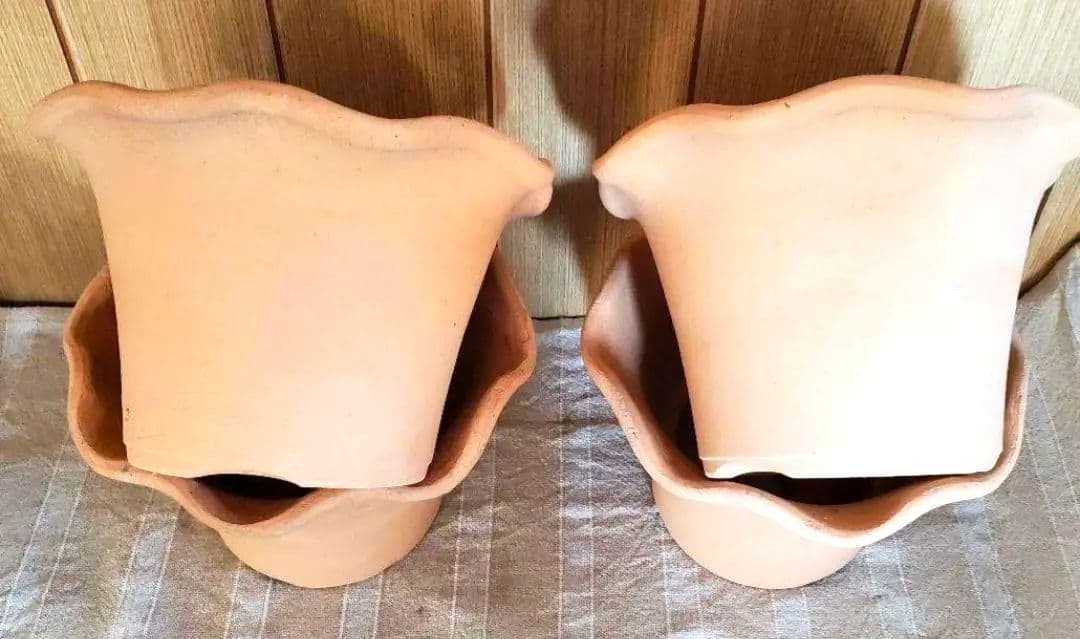 norinoriページ三河焼フリルテラしゅう窯白焼6号10ヶお買い得セット