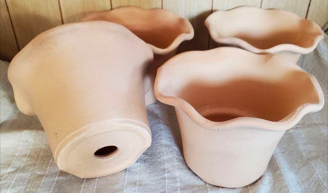 norinoriページ三河焼フリルテラしゅう窯白焼6号10ヶお買い得セット