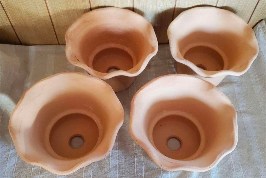 norinoriページ三河焼フリルテラしゅう窯白焼6号10ヶお買い得セット