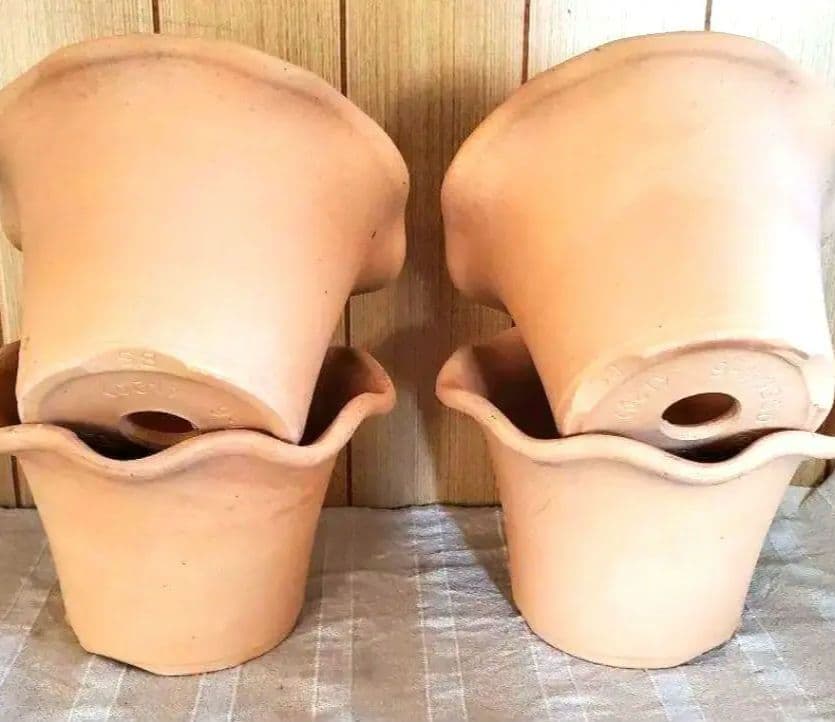 norinoriページ三河焼フリルテラしゅう窯白焼6号10ヶお買い得セット