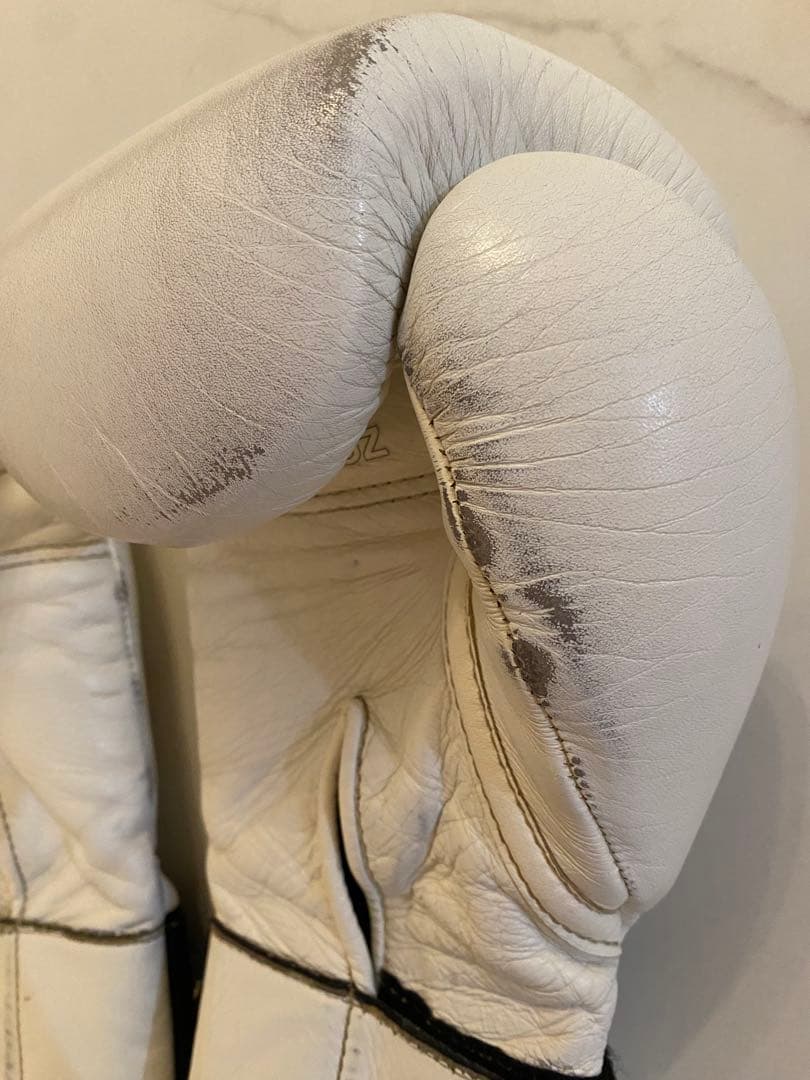 taro　Winning プロフェッショナル用14オンスグローブ