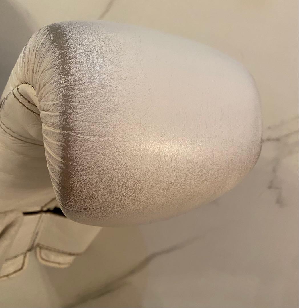 taro　Winning プロフェッショナル用14オンスグローブ