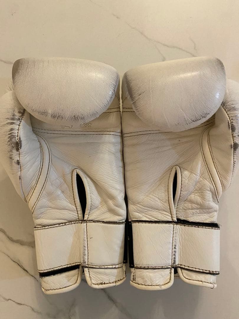 taro　Winning プロフェッショナル用14オンスグローブ