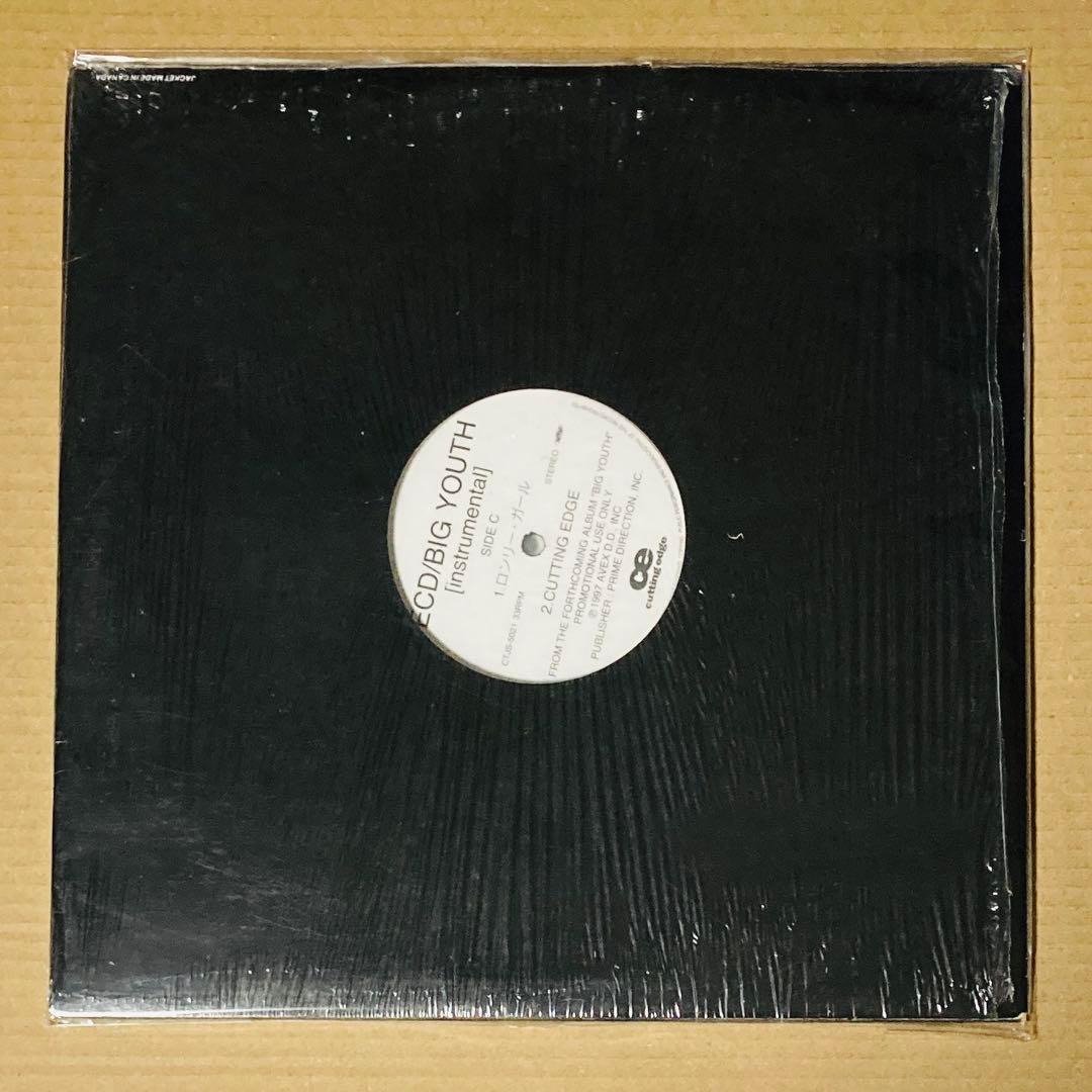 邦楽 BIG YOUTH INSTRUMENTAL / ECD