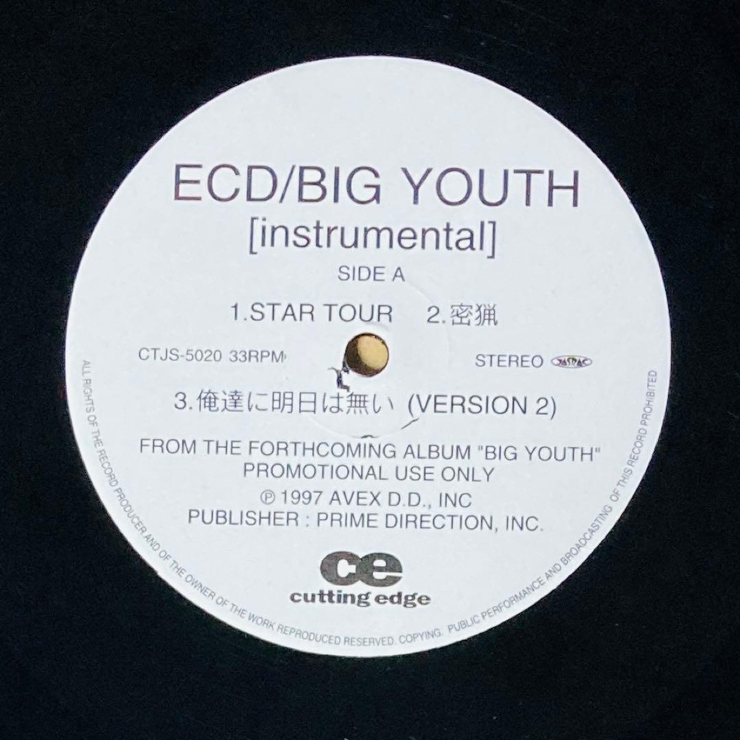 邦楽 BIG YOUTH INSTRUMENTAL / ECD