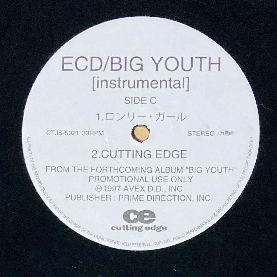 邦楽 BIG YOUTH INSTRUMENTAL / ECD