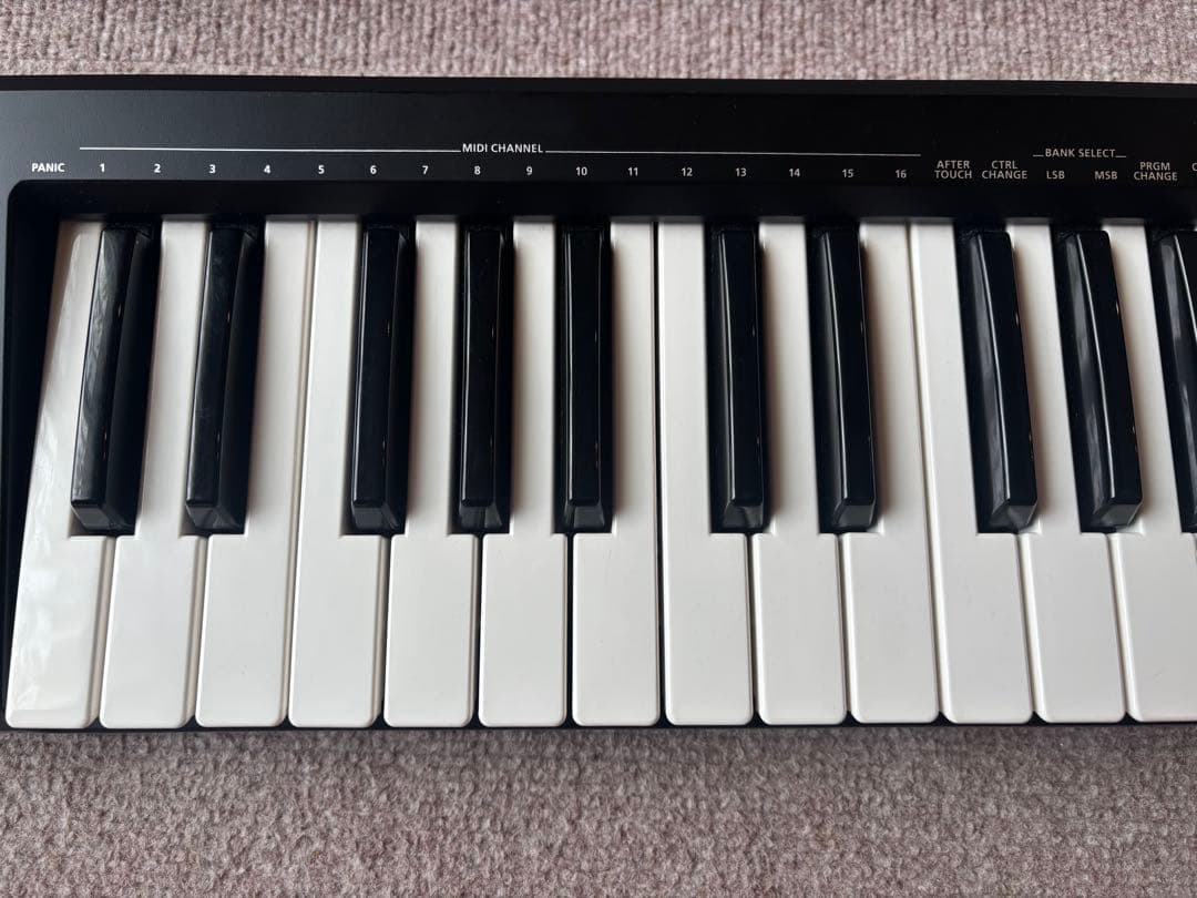 Roland A-49 BK (A49) MIDIキーボード 49鍵　説明書付き