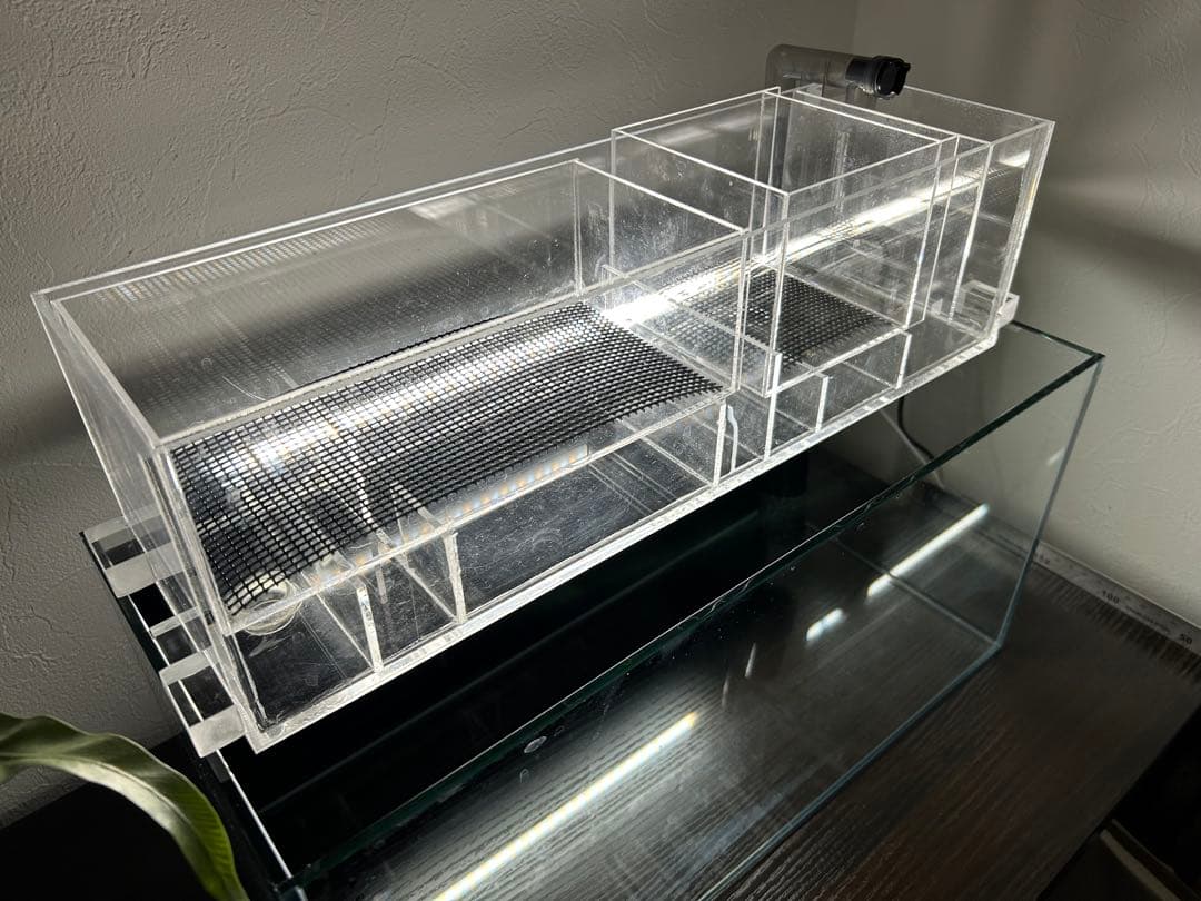 すぐ始められる！！上部濾過式アクアポニックス水槽アクアリウム水槽