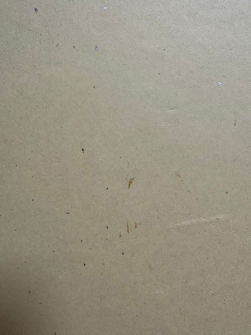 非売品　持田あき　直筆サイン入り色紙