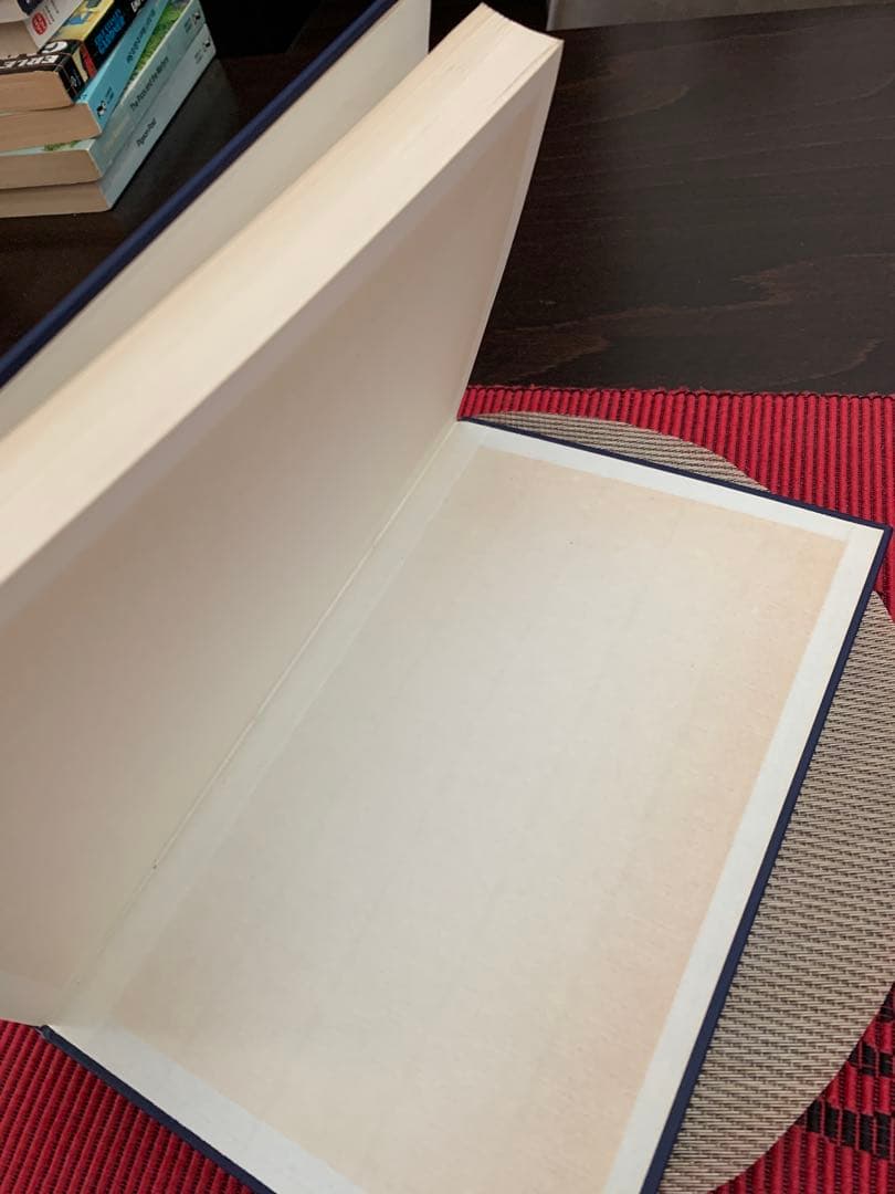 洋書 Language in Ethnicity by Harald Haarmann