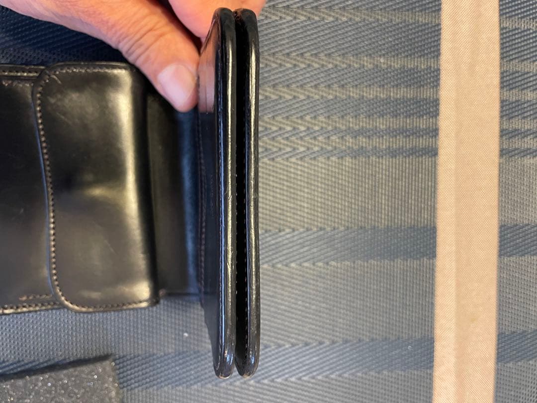 ワイルドスワン　スパンカー1