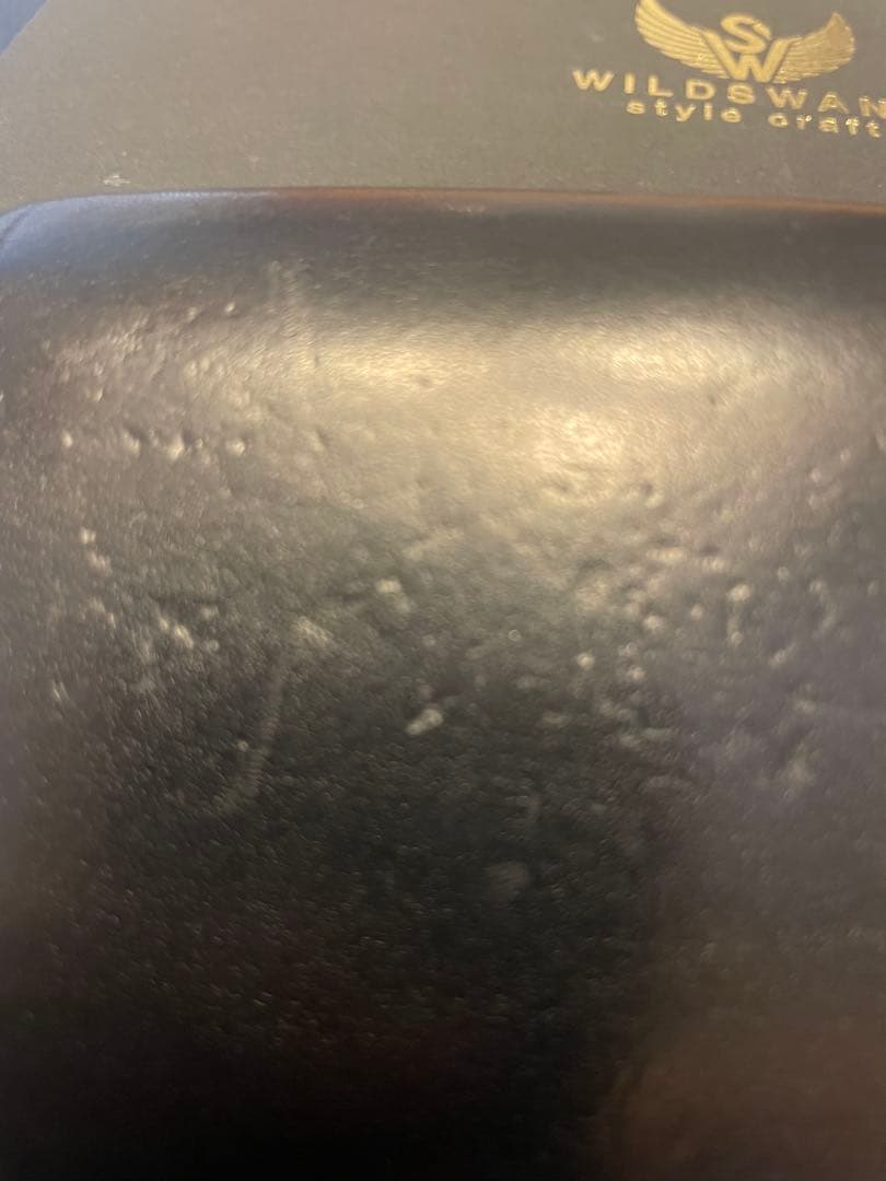 ワイルドスワン　スパンカー1