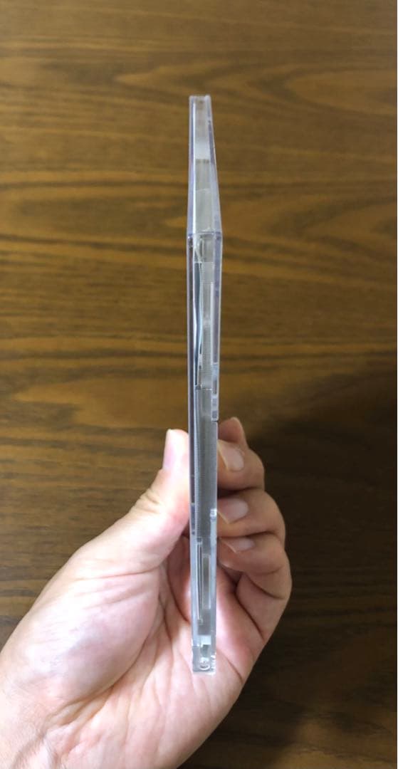 邦楽 Believe In Tomorrow Sunflower's Garden