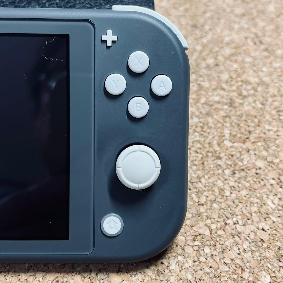 ニンテンドースイッチLite グレー /AC アダプター充電ケーブル.ガイド