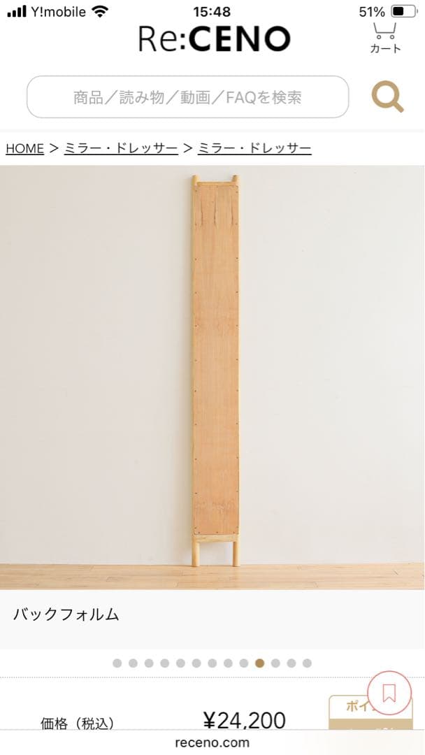 HOKOS スリムミラー リセノインテリア