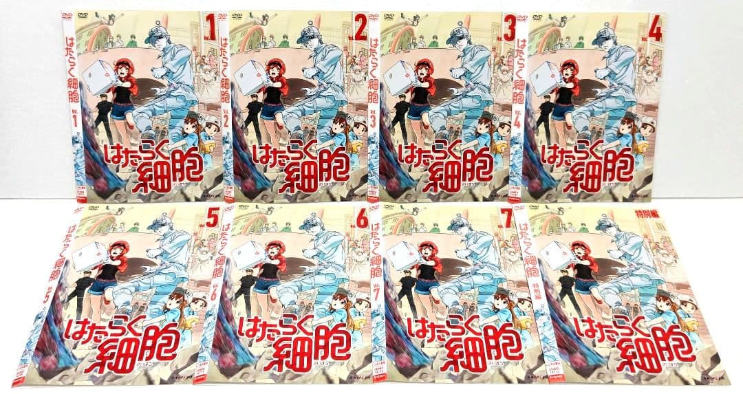 はたらく細胞 特別編 DVD 全巻 セット アニメ 清水茜