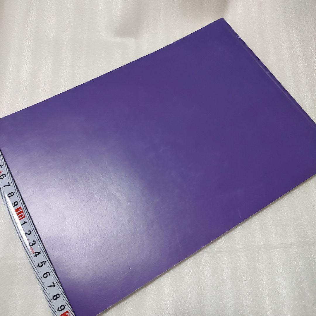 JOEL MEYEROWITZ 「OUT OF THE ORDINARY」