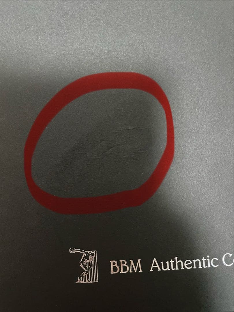 内川聖一選手 通算100本塁打記念 直筆サイン入りフォト