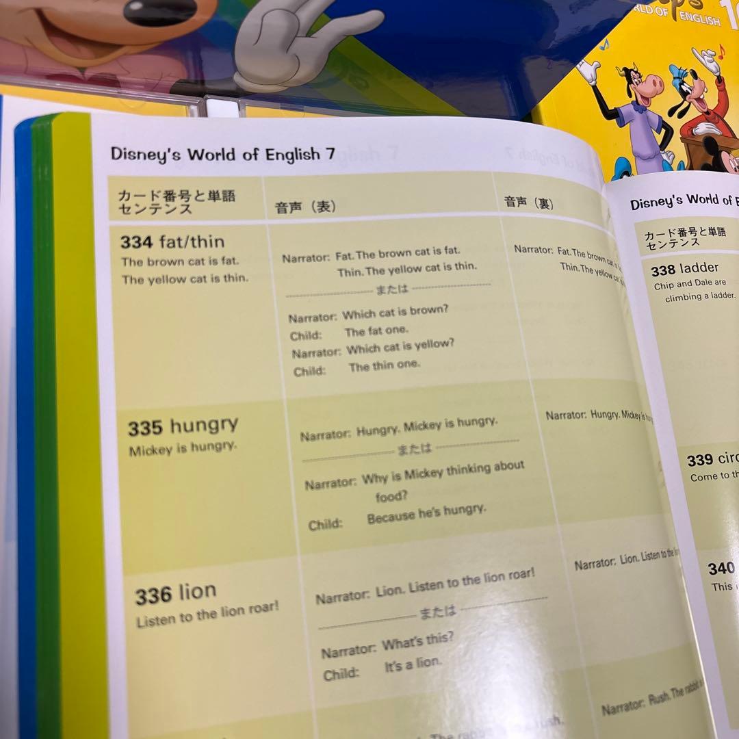 お得！！美品Disney プレイメイト　トークアロングカード、CD 、BOOK等