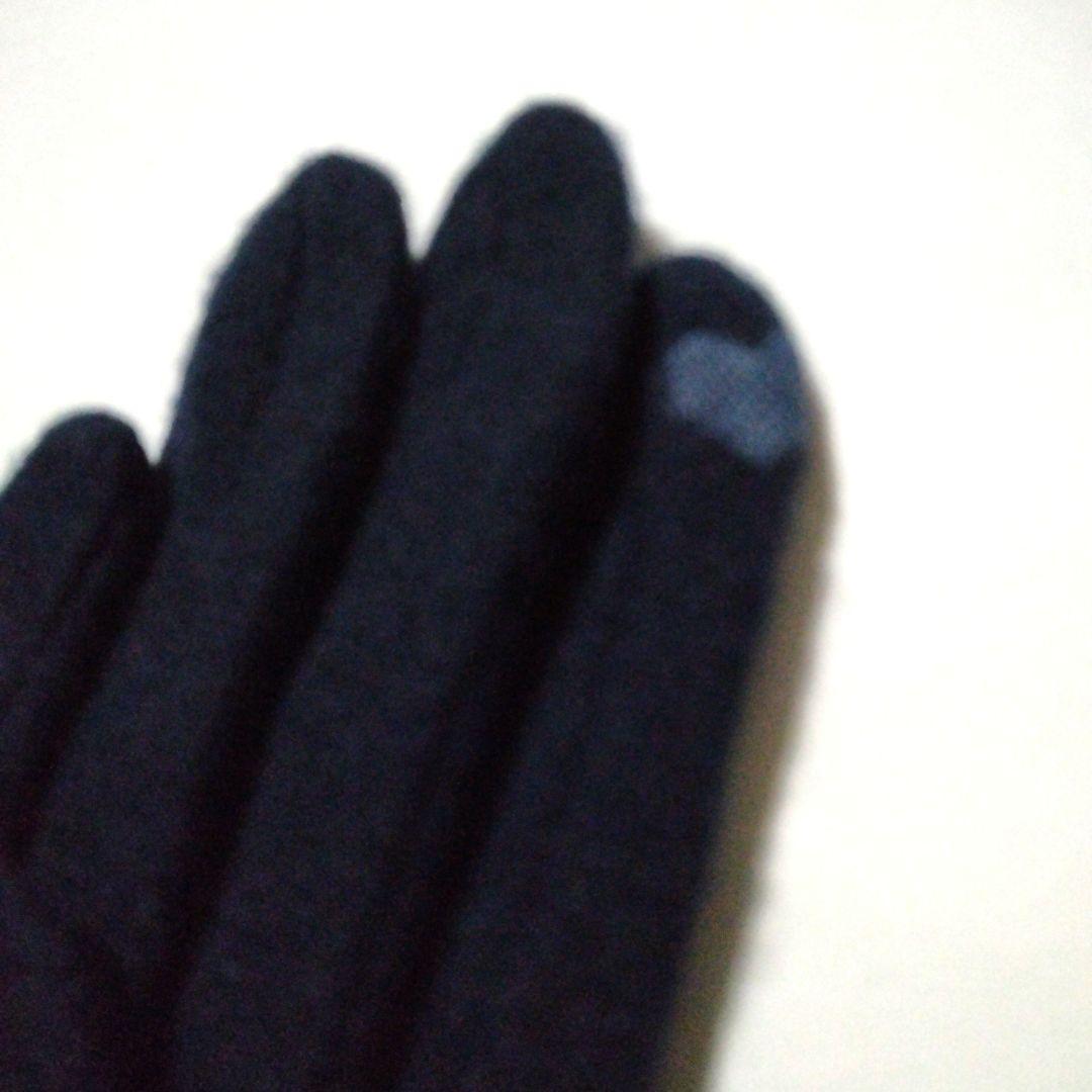 FEILER 手袋　新品タグ付き　トワイライトスノーグローブTWS-257212