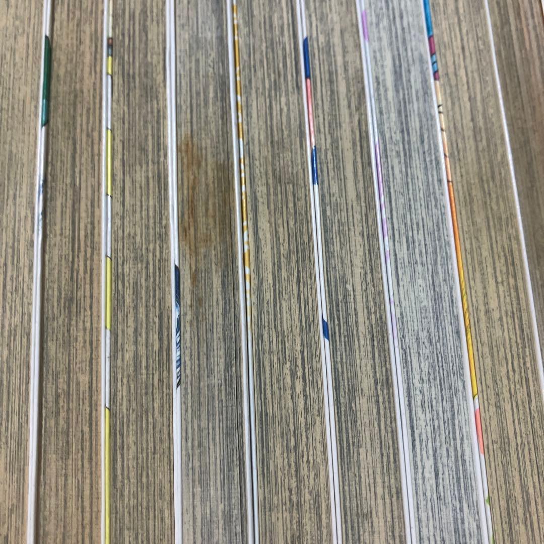 カメレオン 全巻