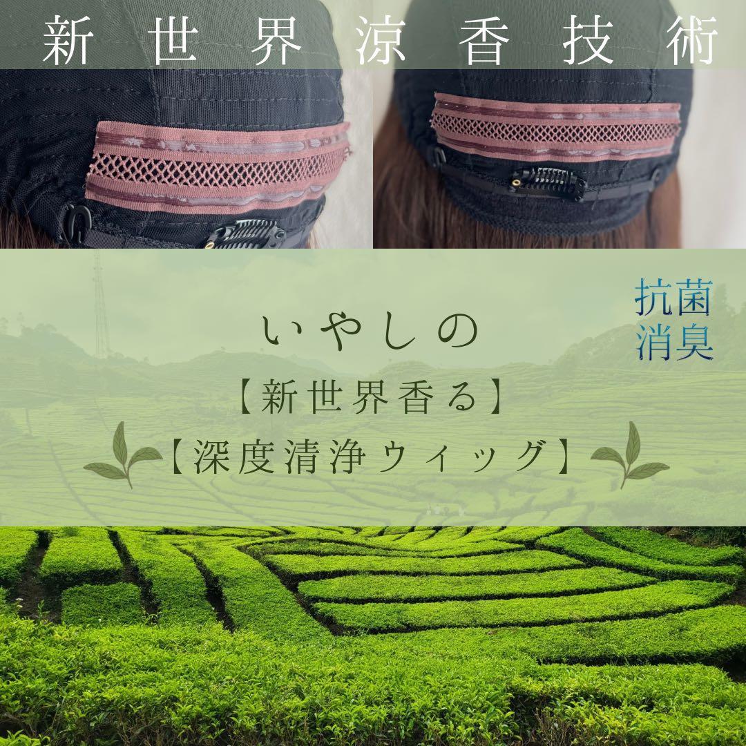 2025新世界ウィッグ高級人毛100% レミー人毛【総手植え】 S Sサイズ