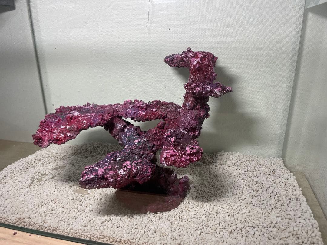 人工ライブロック RR77 アク抜き済み安心塗料使用