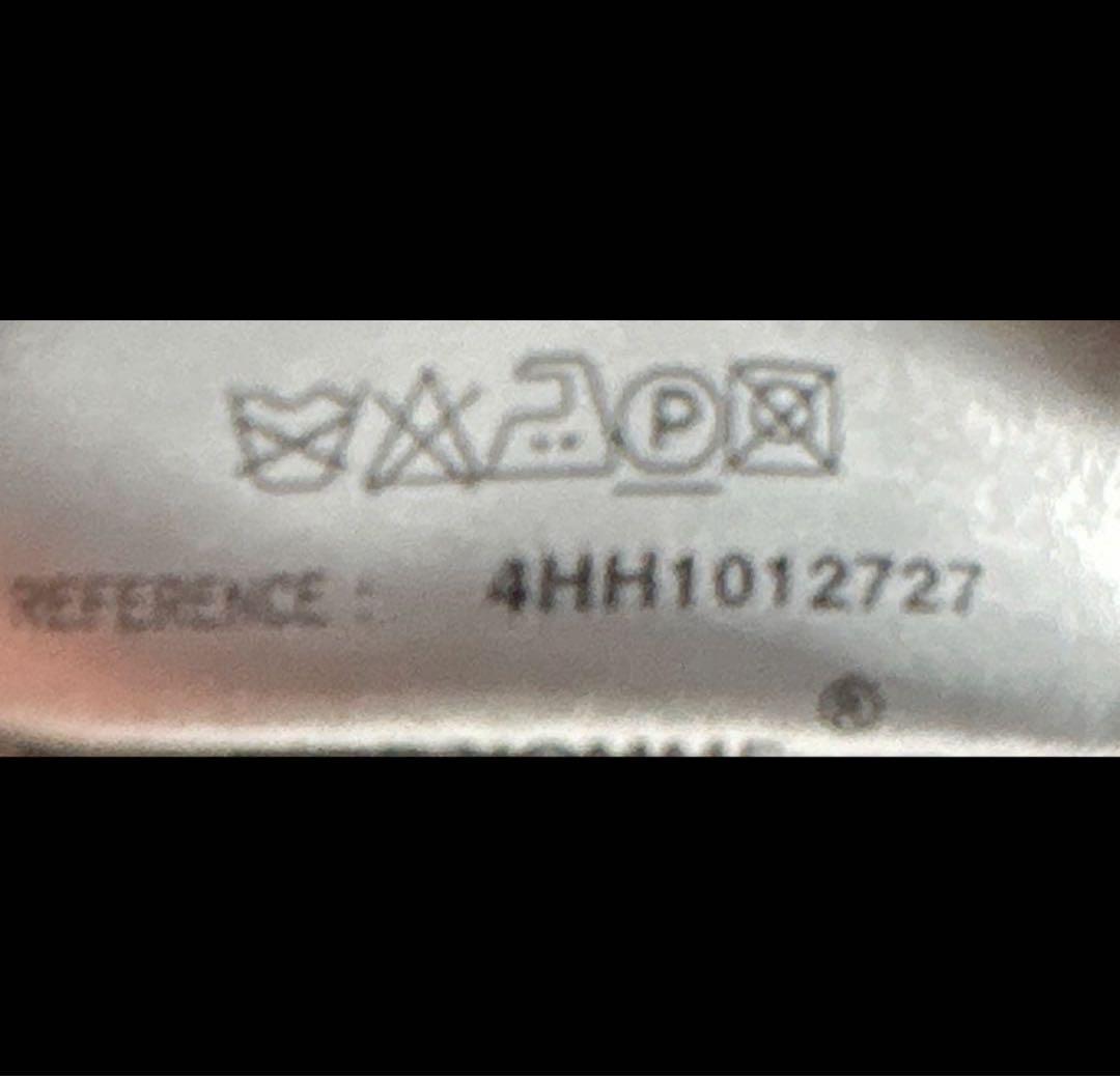 Dior homme エディ期