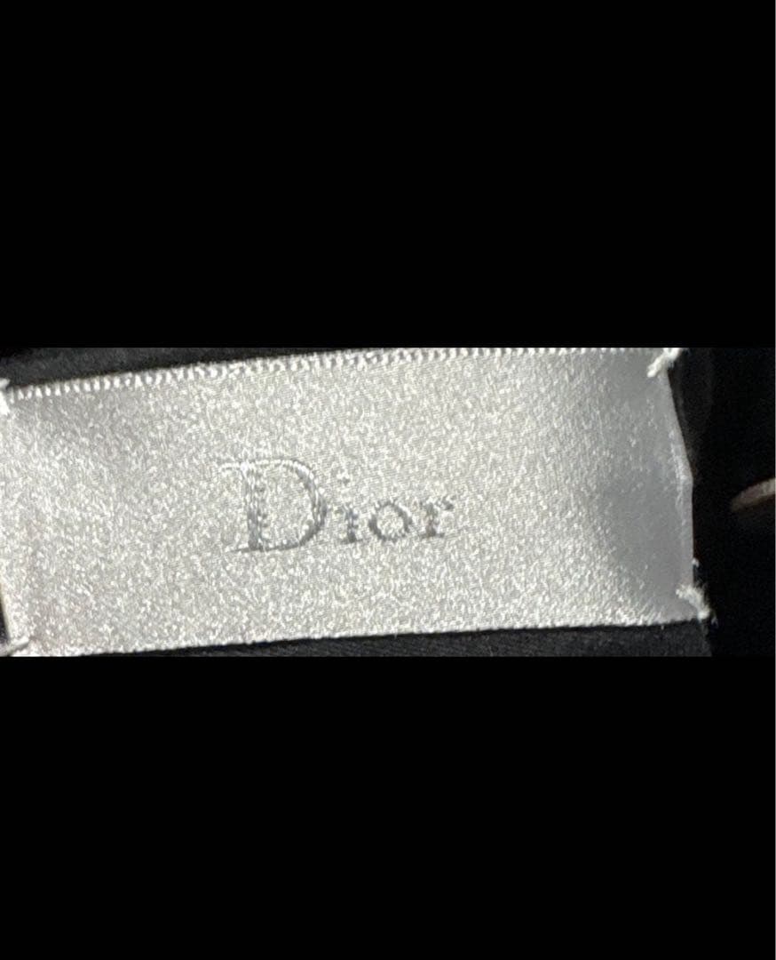 Dior homme エディ期