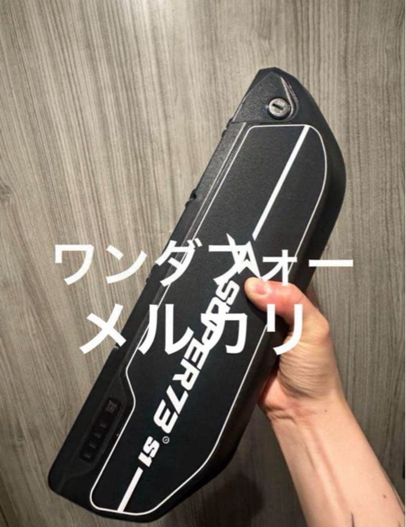 Super73s1sg1純正バッテリー48v16ah