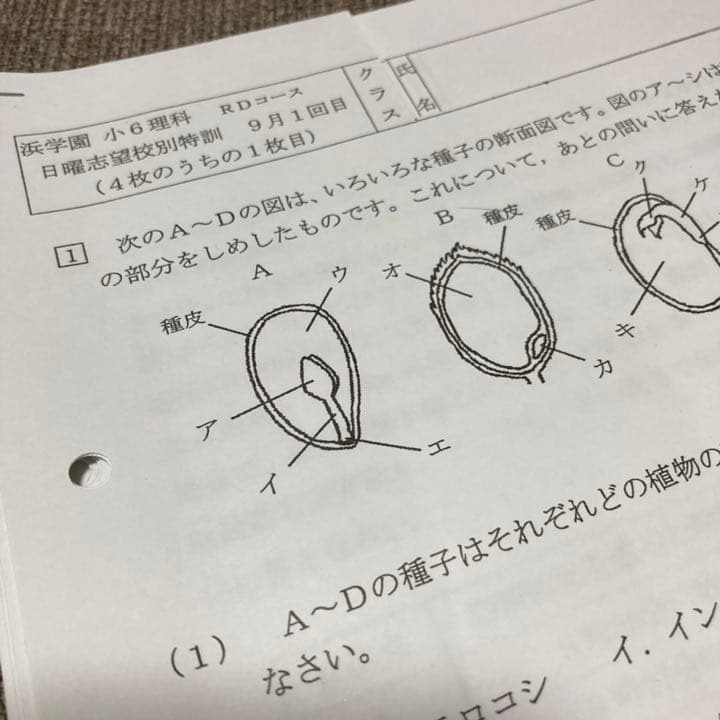no22503105_【浜学園】小6理科　復習テスト・年間フルセット　おまけ付