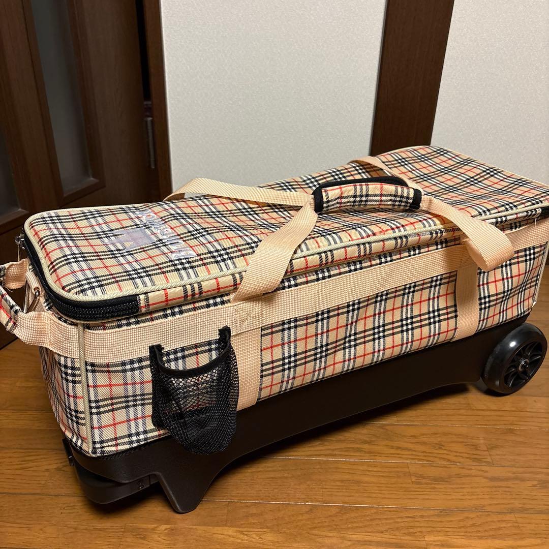 ほぼ新品⭐︎DV8 トリプルローラーバック