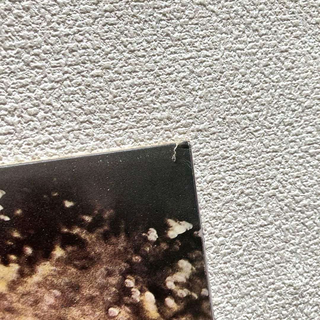 ハービー・ハンコック　スピーク・ライク・ア・チャイルド　12㌅レコード