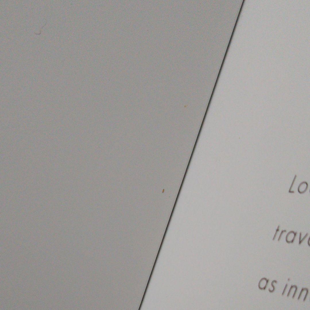 LOUIS VUITTON 保存版(非売品)カタログ