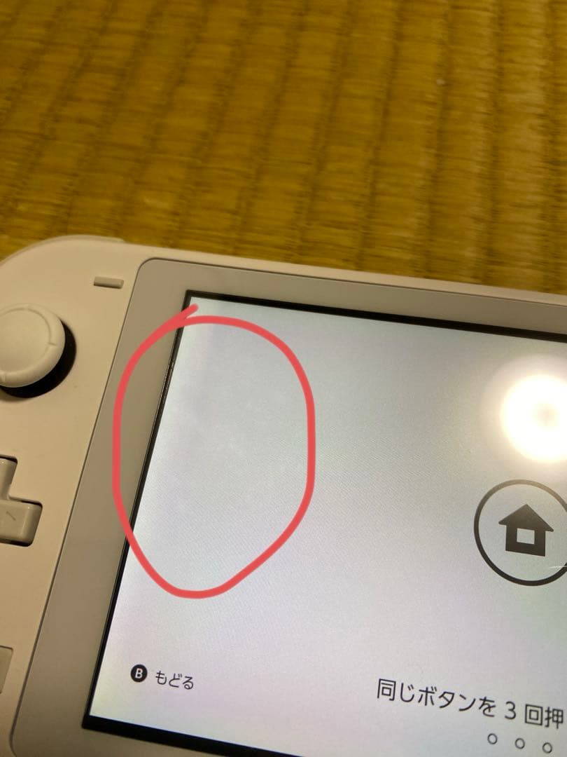 Nintendo Switch Lite 外装カスタム　本体のみ 即購入歓迎