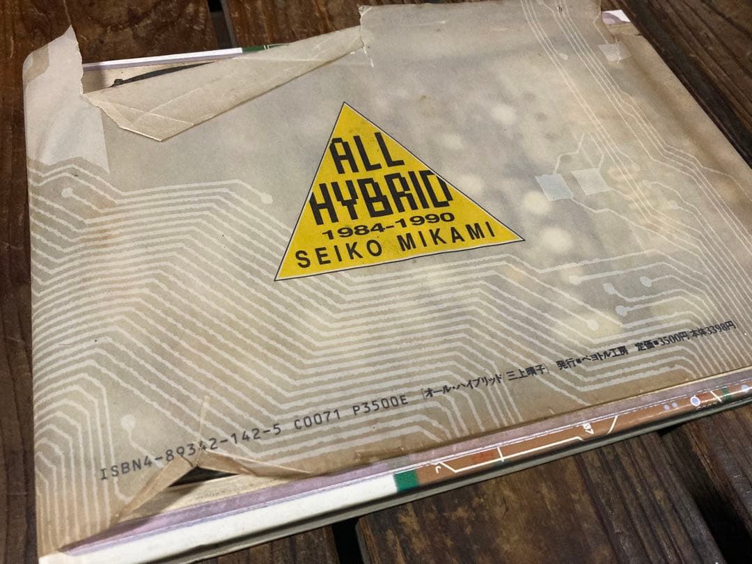 三上晴子 作品集　メディアアート　現代美術 サイバーパンク！