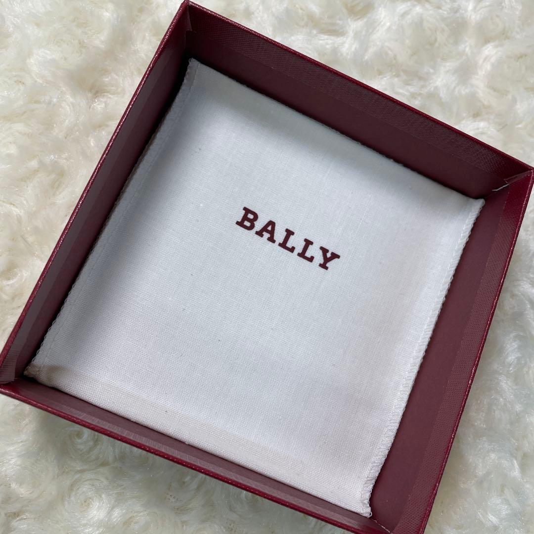 ワールド7ページ　BALLYブラックラインL10個まとめ