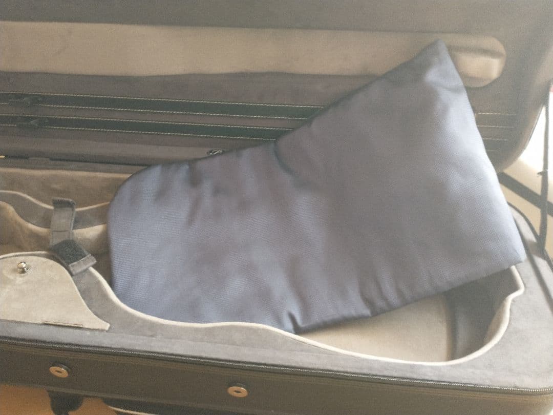 Pedi ペディ ビオラケース オブロング 黒 ブラック