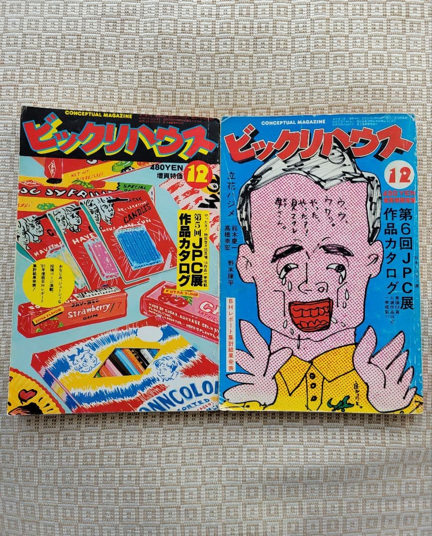 ビックリハウス創刊号・二周年記念号・終刊号・復刊号ほか全11冊セット　パルコ出版