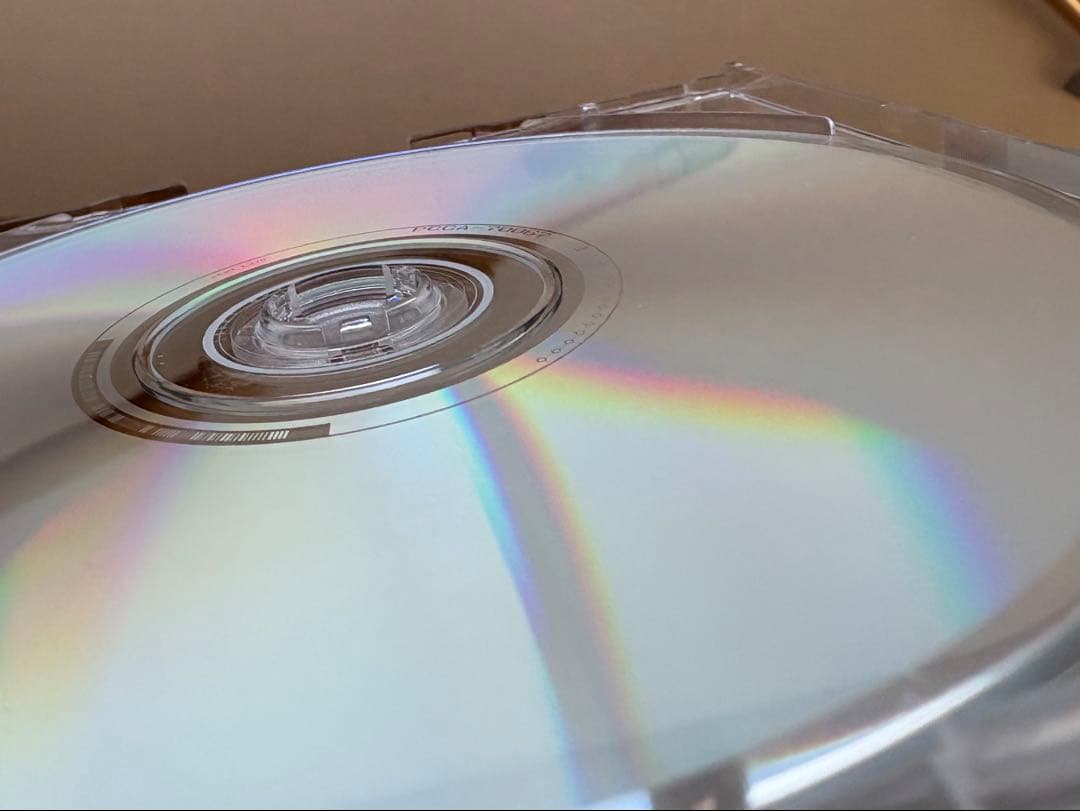 邦楽 Sunflower's Garden - Believe in tomorrow