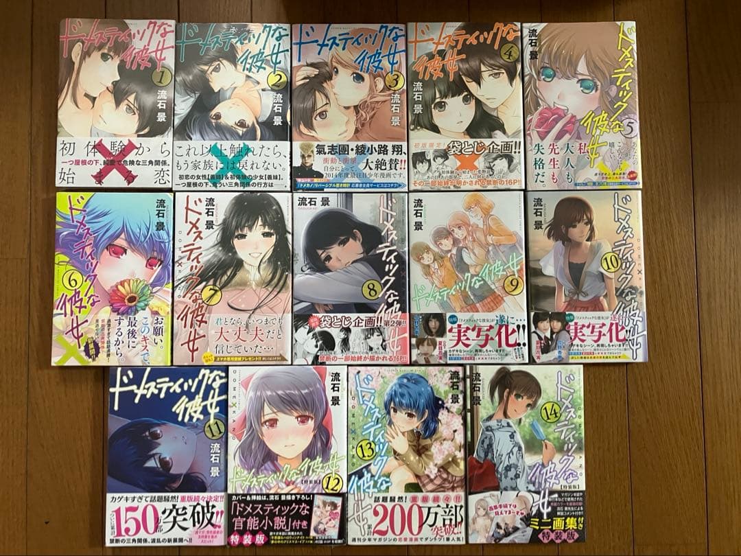 ドメスティックな彼女　全巻セット　特装版　未開封