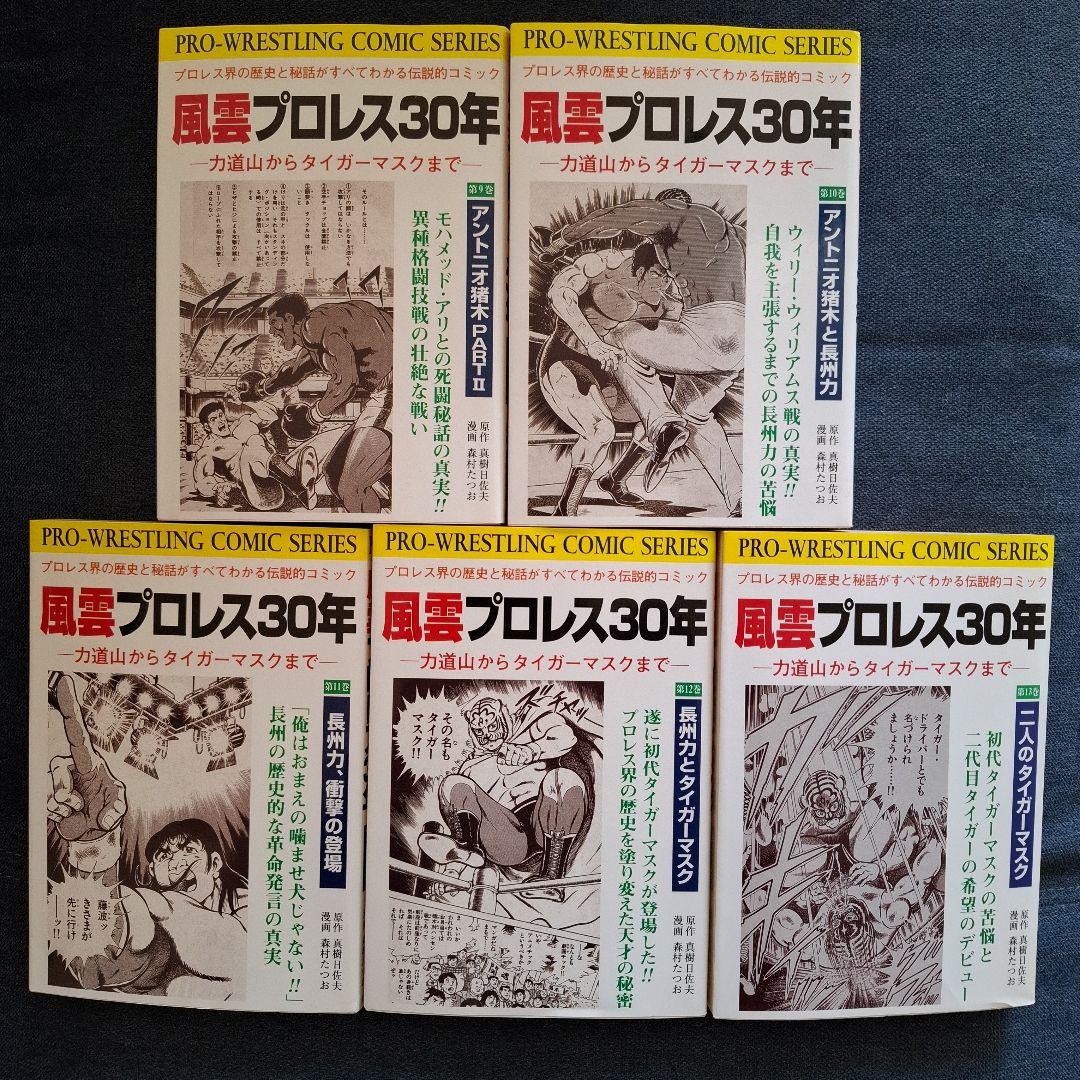 風雲プロレス30年 全13巻セット