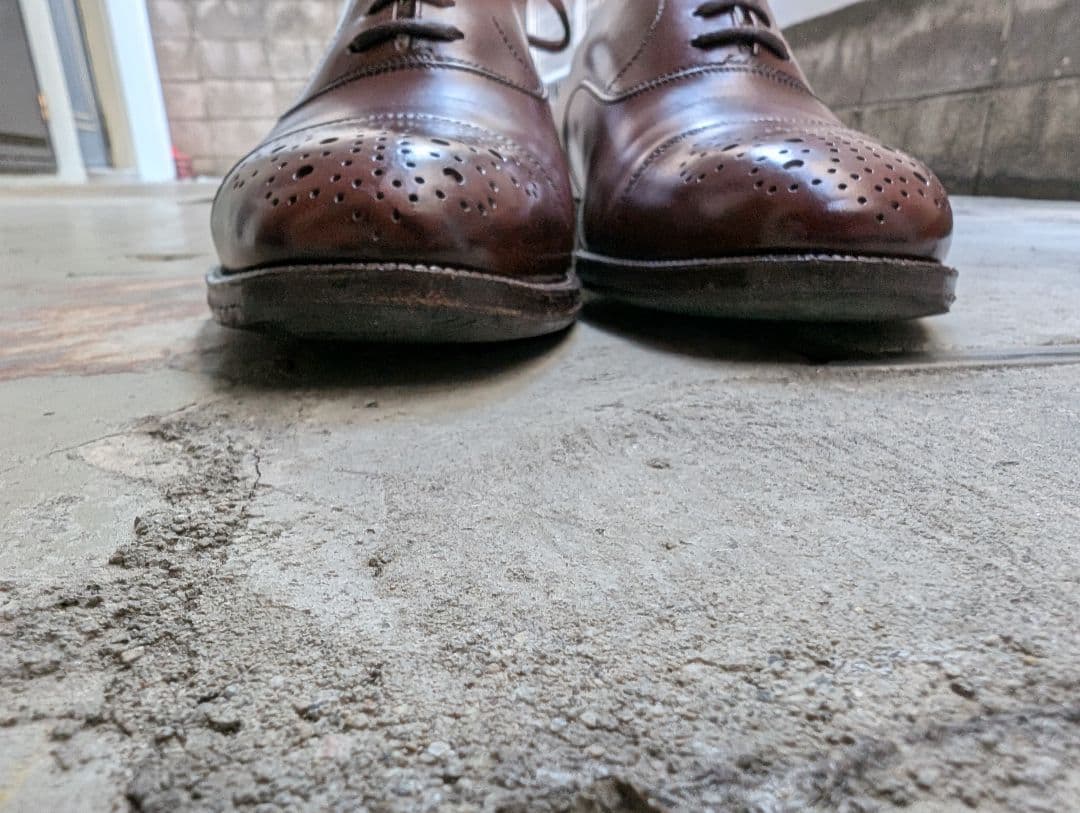 タニノクリスチー セミブローグ 5 1/2