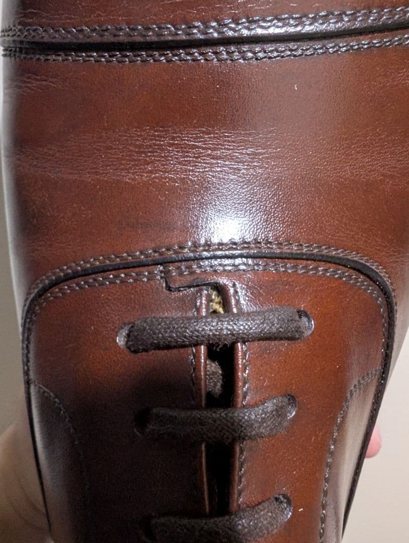 タニノクリスチー セミブローグ 5 1/2