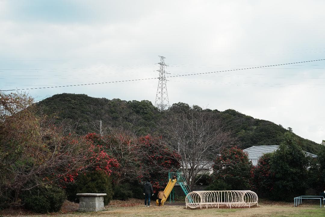 【美品】動作◎ オリンパス G.Zuiko auto 50mm F1.4 569