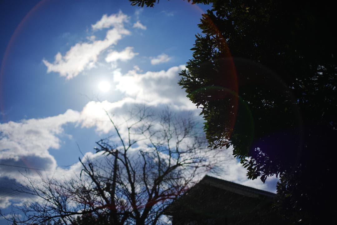 【美品】動作◎ オリンパス G.Zuiko auto 50mm F1.4 569