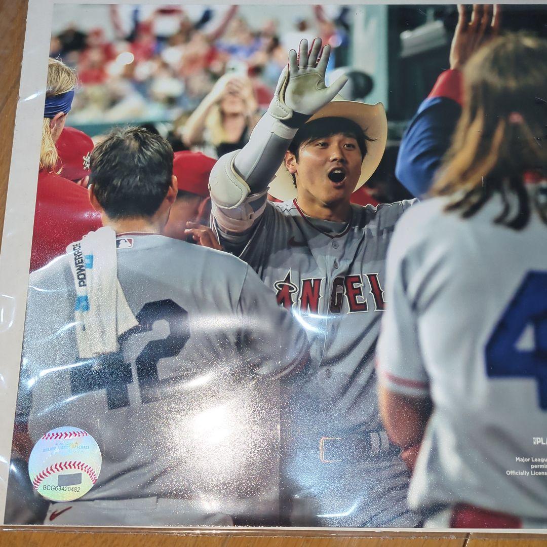 【新品、未開封】《 米国fanatics社 》『大谷 翔平選手』フォト